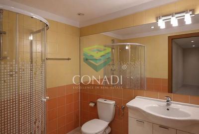 Apartament cu 4 camere de inchiriat Zona Soseaua Nordului - 20
