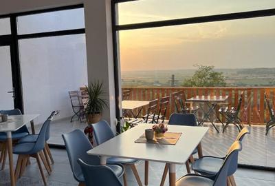 COMPLEX TURISTIC - oras Isaccea, judetul Tulcea, trecere bac UCRAINA - 5