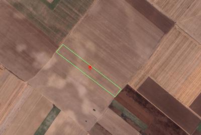 Teren agricol extravilan de 12576 mp, în Berceni