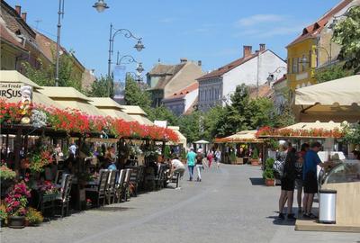 Inchiriem 300 mp spatiu comercial cu acces direct stradal N.Balcescu - 6