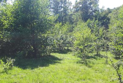 Teren cu livada de vanzare in Albesti de Muscel - 10