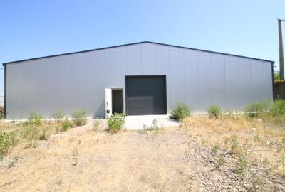 Spatiu Industrial -  depozit frigorific Galati Zona Badalan, 800.000E + tva - 2
