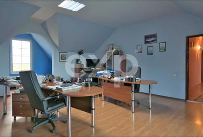 Proprietate industrială cu vizibilitate DN13 – Hală, birouri și teren 6.250 mp - 12