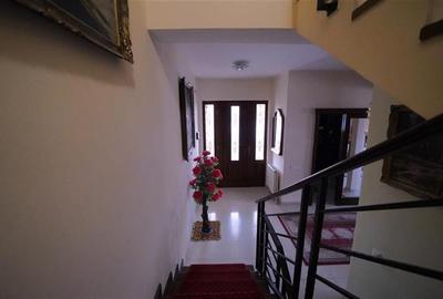 Casa primitoare in cartierul Iosia - 14