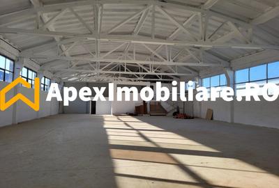 Hala Industriala Xenia – 1800 mp, Acces TIR, Parcare 50 Auto - 14