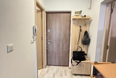 Apartament 2 camere, mobilat/ utilat, zona Mihai Bravu - Teleajen - 11