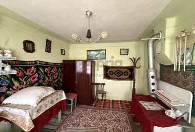 COMISION 0% - CASĂ PITOREASCĂ ÎN ACRIȘ - VAMA BUZĂULUI - 12