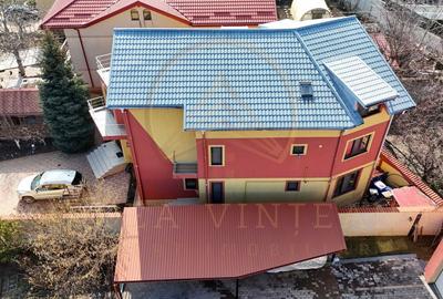 Casă Palazu Mare | Ideală pentru familie extinsă sau activitate mixta - 24