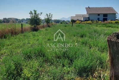 Teren intravilan 867 mp Stupini Brașov | Certificat urbanism - 2
