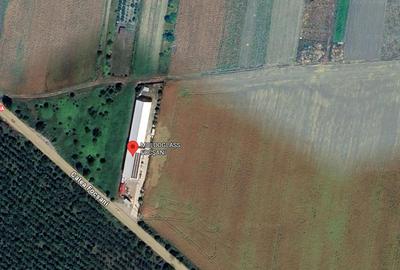 Teren Focsani-9788 mp-D=70 ml - 2