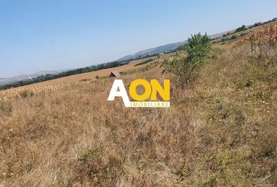 Oportunitate investitie. Oarda de Jos, 16 parcele de 490 mp - 3