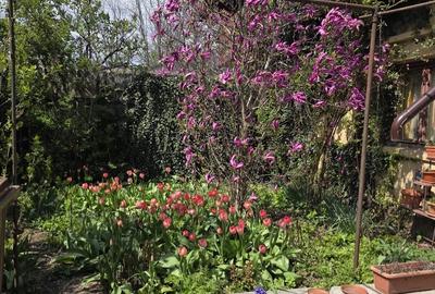 CASĂ DE VÂNZARE CU 4 CAMERE IN ZONA ȘOSEAUA CHITILEI SEC.1 VIZAVI DE MAAL  COLOS - 5