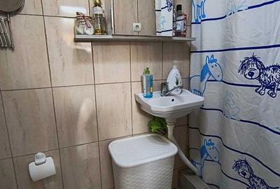 Apartament de 65 mp la curte, zona Iosefin - 9
