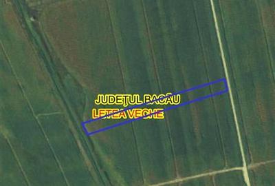 Letea Veche- Holt - 3.600mp - extravilan - 5