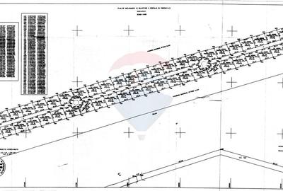 VANZARE Teren intravilan 40,000mp Cocani / Academia Titi Aur - 2