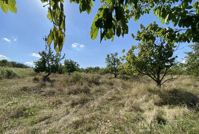 Terenuri de vanzare intr-o locatie exclusivista din Cluj - 1