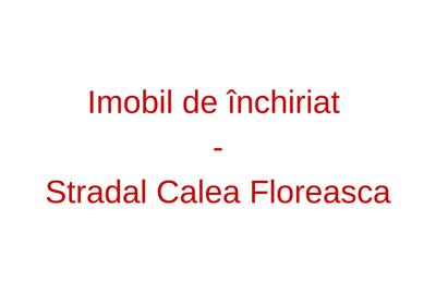 Casa Calea Floreasca - Inchiriere - 1