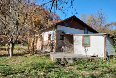 Iedera, Cricovul Dulce, casa de vanzare 90mp, teren 2450mp - 16