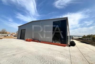 Hale depozitare/productie deschidere la Centura\Chitila - 3