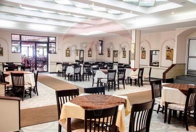 Resort Montan & Oportunitate de Investiție – Poiana Sărată - 7
