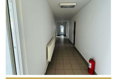 De inchiriat cladire comerciala potential P+M Gradiste Arad - 12