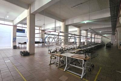 Spatiu industrial cu birouri pe Bulevardul Muncii - 6