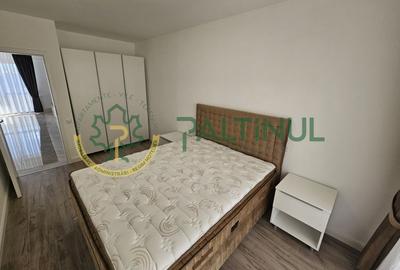 Apartament de inchiriat, D-na Stanca, Sibiu - 16
