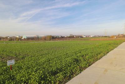 Lot 608mp In Rate Com Berceni | utilitati: curent gaz asfalt | #SG1 - 12