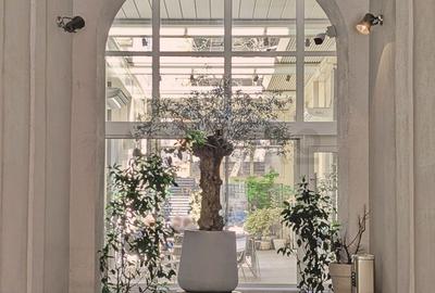 Zero comision, 123mp birou ultracentral Universitate - Cismigiu, 5' M - 9