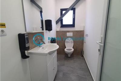 Royal Imobiliare - Vanzare spatiu industrial in zona Paulesti - 12