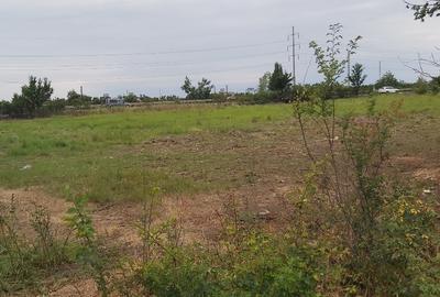 Teren intravilan de vanzare 4800 mp, PUZ in aprobare,nod rutier A1 - 2