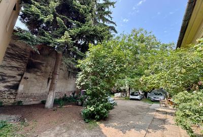 Spațiu pentru restaurant, bucătărie 120 mp, curte/terasă 400 mp, zona Centrală - 17