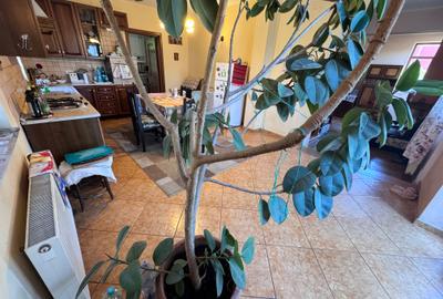 Casa individuala P+1+M amplasata pe un teren de 1200 mp. - 28