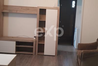 Inchiriere apartament 2 camere Central - 5