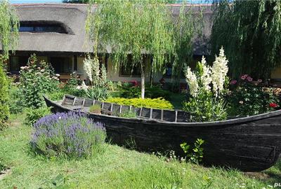 Pensiune agro-turistica in paradisul Deltei Dunarii - 2