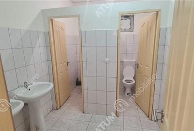 Spatiu comercial cu vad 132 mp utili si 6 locuri de parcare Turnisor - 8