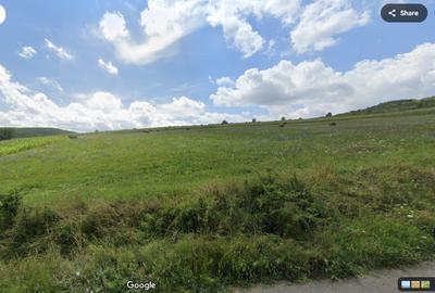 Teren intravilan de vanzare Deusu com Chinteni 2900mp - 1