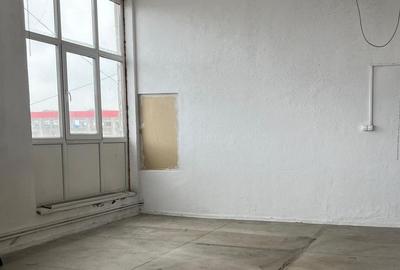 Spațiu industrial, 110 mp în Bartolomeu