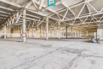 Centru Logistic – Platformă Industrială Oradea - 25