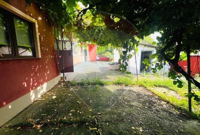 Casă 4 camere 1672 mp teren in Horia - 7