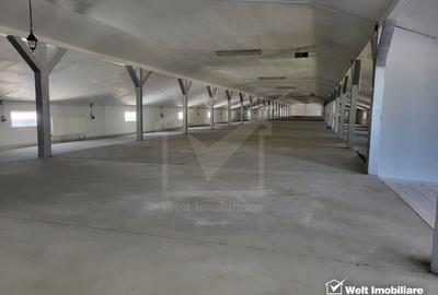 Proprietate multifunctionala spatii de la 40 mp la 1000 mp - 8
