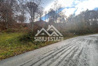Oportunitate de investiție – Teren pentru hotel / pensiune pe Valea Avrigului - 6