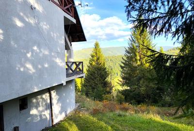 Liniște și natură în inima Bucovinei - 11