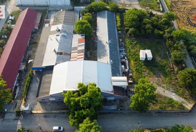 Vanzare fabrica de napolitane si dulciuri - jud. Giurgiu - 14