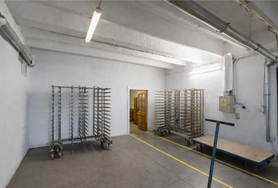 Parc industrial modernizat, acces bilateral, potential remarcabil, Sfantu Gheorg - 21