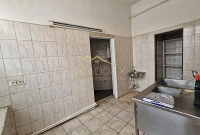 Spatiu Comercial ***223mp // Parcul Carol - 19
