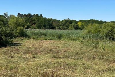 Teren cu deschidere la lac strada Orhideelor- conectare imediata la curent - 7