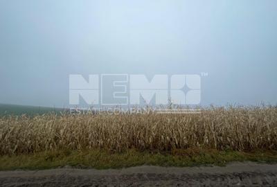 TEREN EXTRAVILAN | DOUA PARCELE 2.84 HA| DARMANESTI - 18