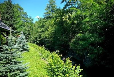 Casă de vacanță tip Chalet pe Valea Muresului - 8