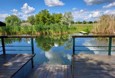 Dimineți pe ponton, seri la piscină – viața la Snagov. - 12